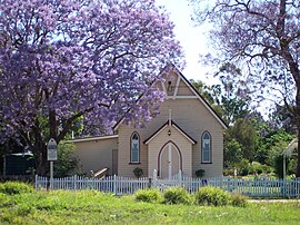 JacarandaWooroolinAustralia.JPG