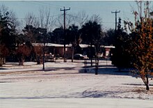 Snow is very uncommon in Florida, but has occurred in every major Florida city at least once; snow does fall very occasionally in North Florida Jacksonville Snow 2.jpg