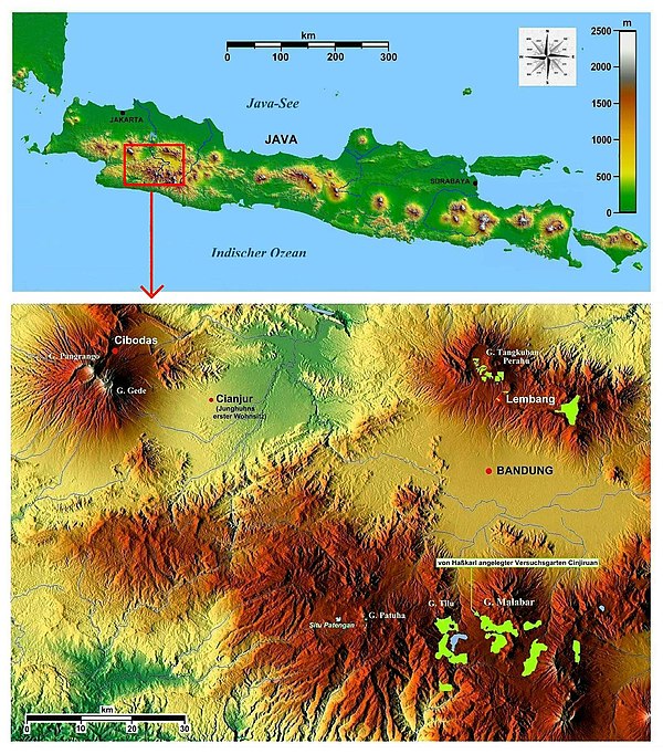 Junghuhns letztes Lebenswerk: Chinchona-Plantagen in Westjava. Die hellgrün eingetragenen Plantagen wurden aus einer 1925 veröffentlichten Touristenkarte übertragen. Die Chinchona-Pflanzungen auf dem Nordosthang des Vulkans Gunung Gedé wurden nach Junghuhns Rückkehr aufgegeben.