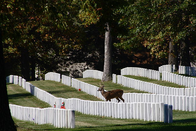 Jefferson Barracks National Cemetery