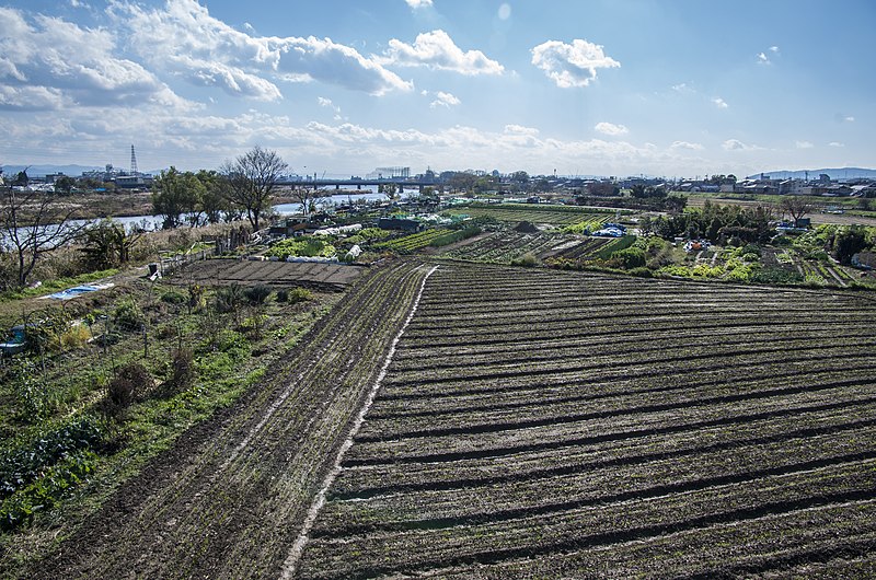 File:Katsurakaminoshindencho, Nishikyo Ward, Kyoto, Kyoto Prefecture 610-0000, Japan - panoramio.jpg