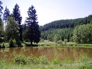 Katzsohlbach river in Germany