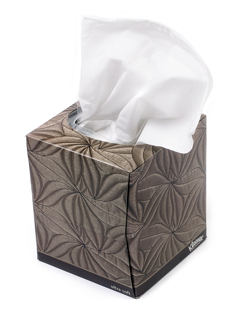 Choice 2-Ply Facial Tissue Box - 30/Case