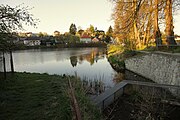 Čeština: Královský rybník v Rudolfově, okres České Budějovice. English: Královský rybník (King's Pond) in Rudolfov, České Budějovice district, Czechia.