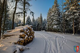 Krajobraz Zimowy w Zagorzycach.jpg