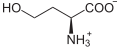 Deutsch: Struktur von L-Homoserin unter physiologischen Bedingungen English: Structure of L-Homoserine under physiological conditions