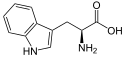 L-Tryptophan - L-Tryptophan.svg