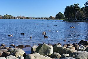 Lake Rotoroa (Hamilton)