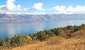 * Nomination Lake Sevan in Gegharkunik Province, Armenia --Armenak Margarian 08:22, 3 February 2019 (UTC) * Decline Nice motif, but the quality doesn´t reach QI level. The resolution is quite low and still it´s rather noisy, partly posterized and less sharp. --Milseburg 16:17, 5 February 2019 (UTC) Thank you--Armenak Margarian 03:51, 6 February 2019 (UTC)