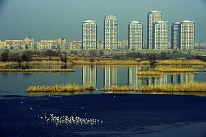 Lac Văcărești