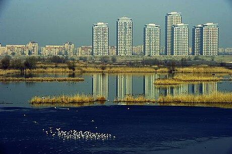 Lac Văcărești