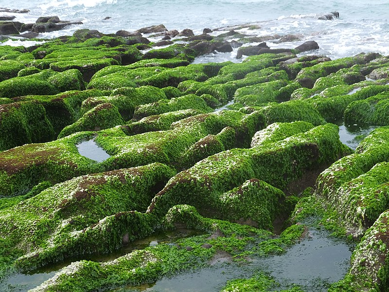 File:Laomei Green Stone Grooves 老梅綠石槽 - panoramio.jpg