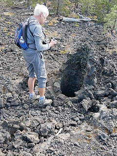 Lava Cast Forest