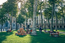 People reading under the trees