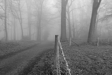 Lochemse Berg, barbed wire and trees at the southern part of the mountain