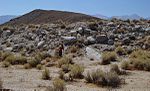 Thumbnail for 1872 Owens Valley earthquake