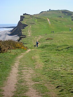 Looking east along the North Norfolk coast path - geograph.org.uk - 1806839