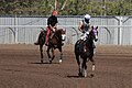 Los Alamitos Sept 2014 IMG 6816 edited-1 (15294751466).jpg