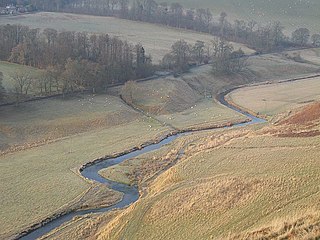 <span class="mw-page-title-main">Lyne Water</span> River in Scottish Borders, Scotland