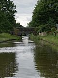 Thumbnail for Macclesfield Canal