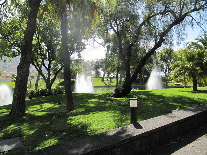 File:Madeira em Abril de 2011 IMG 1779 (5663790648).jpg