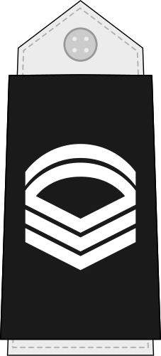 File:Maldives-Navy-OR-7.svg