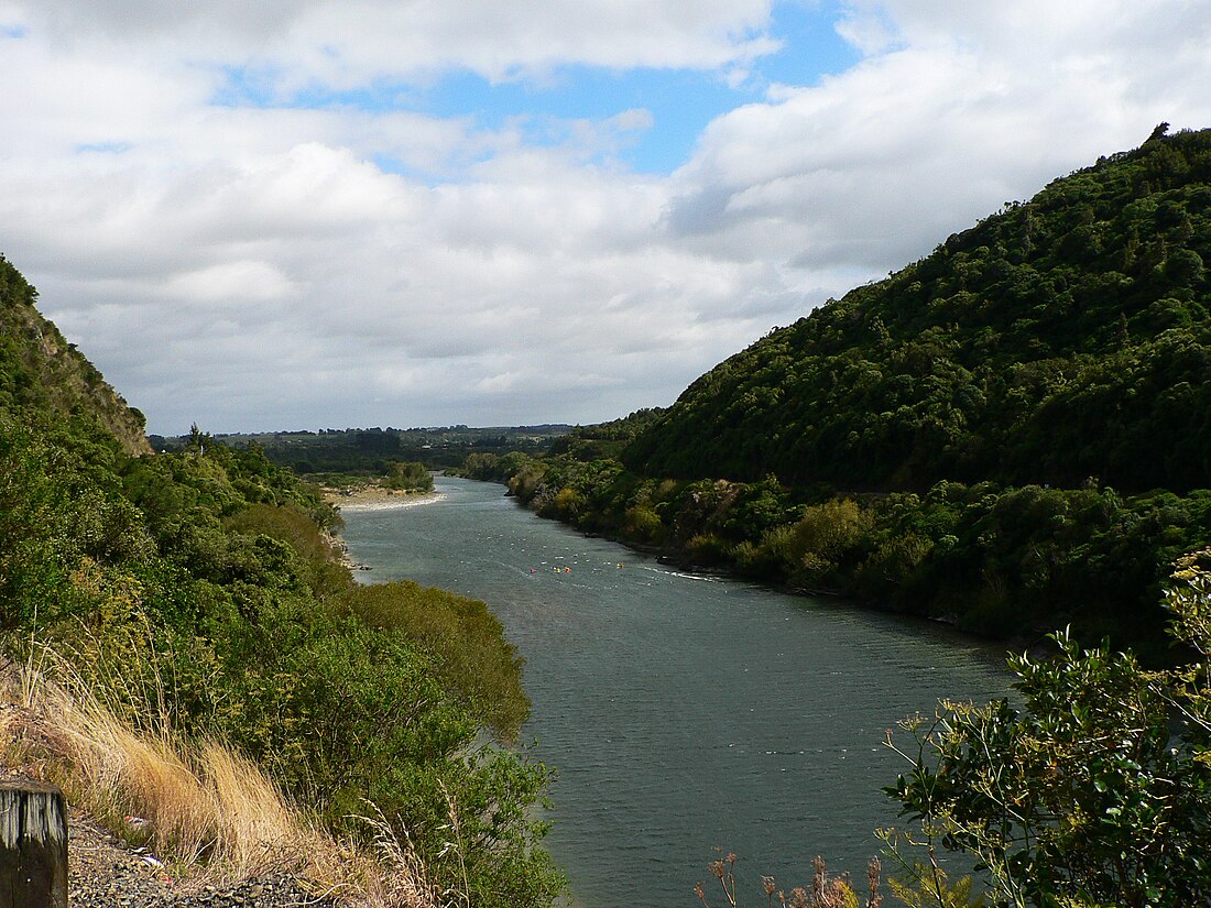 Manawatū River (suba, lat -40,47, long 175,22)