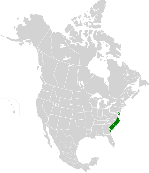 File:Middle Atlantic coastal forests map.svg