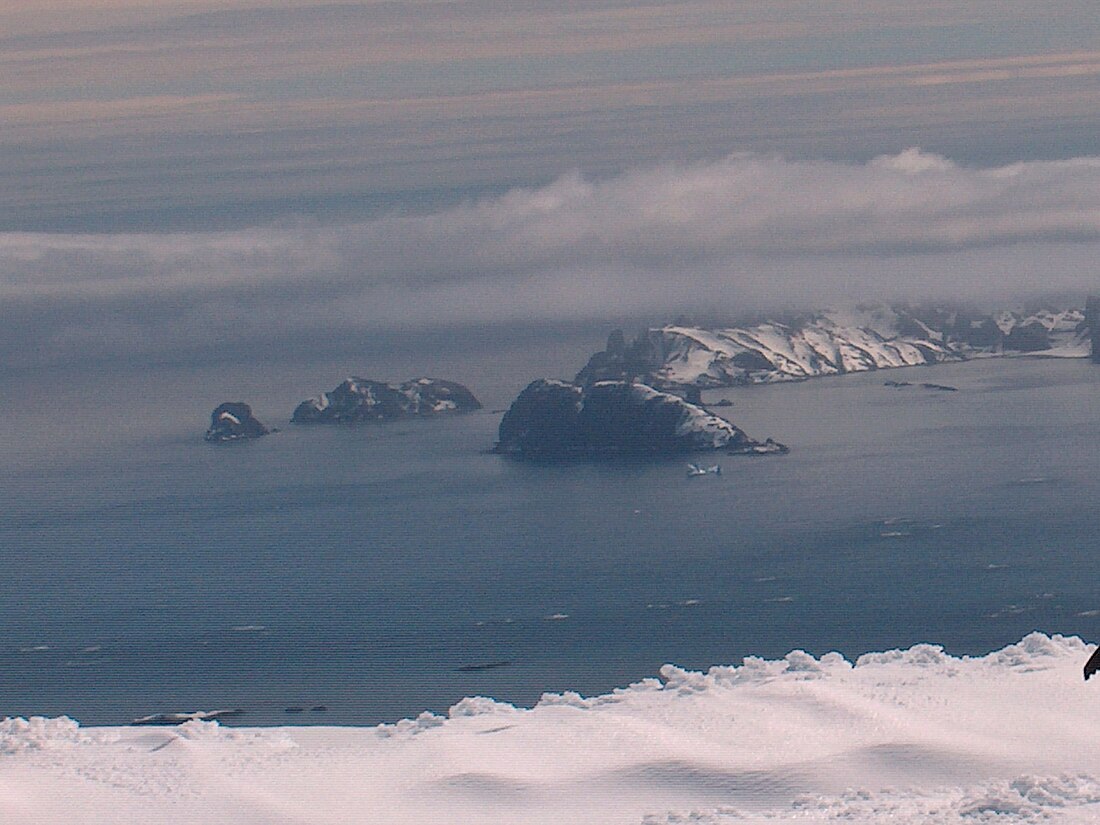 Wood Island (Südliche Shetlandinseln)