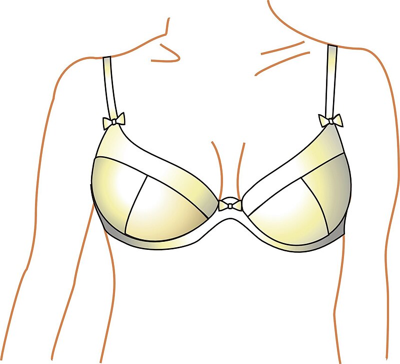 What Is A Fancy Word For Bra?