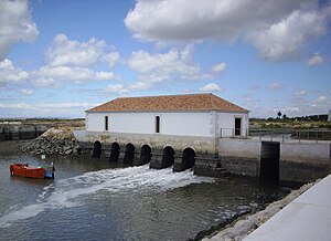 Tidal Energy: Technology to convert the energy from tides into useful forms of power