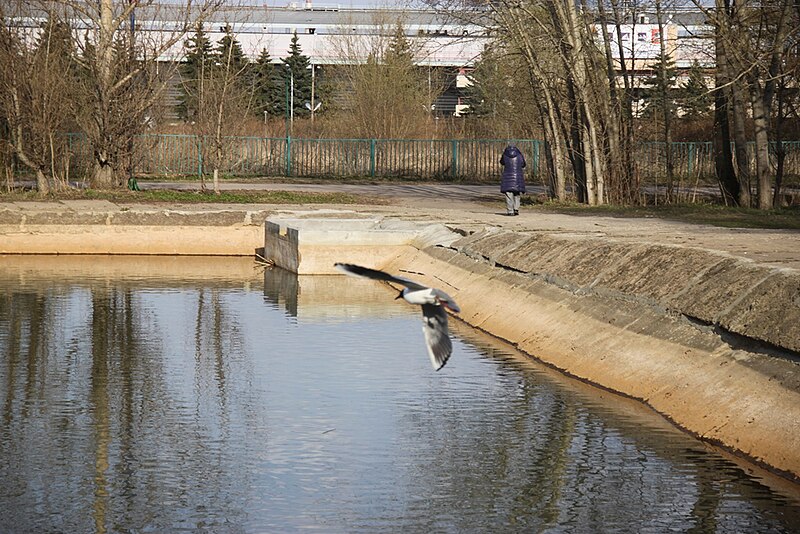 File:Moscow, former stormwater retention pools in Krylatskoe park (26913189997).jpg