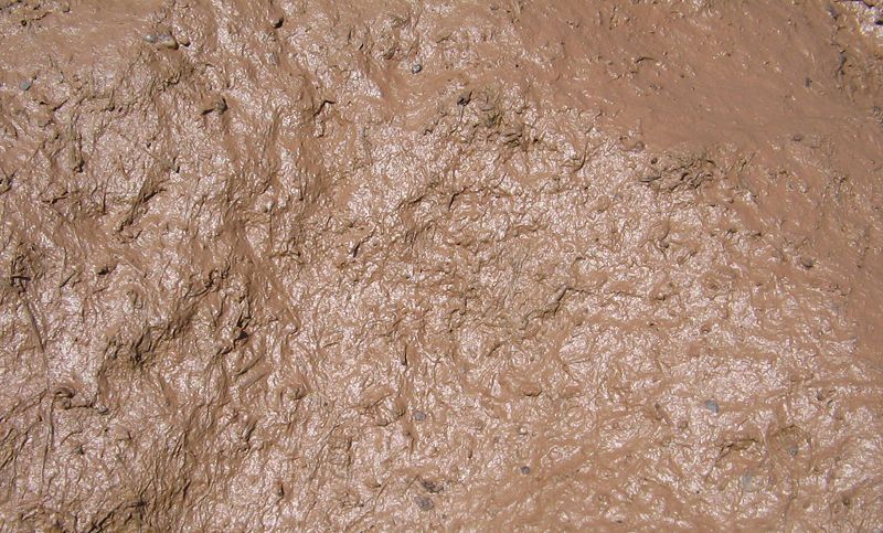 File:Mud closeup.jpg