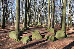 Gran tumba de piedra neolítica 4 en el área de protección del paisaje "Im Dohrn" cerca de Grundoldendorf, distrito de Stade