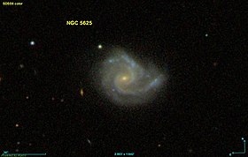 Image illustrative de l’article NGC 5625