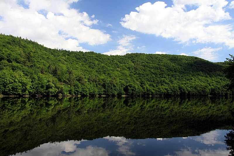 File:Nature reserve Kobylí dráha in 2016 (2).JPG