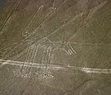 Nazca-lineas-perro-c01.jpg