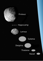 Thumbnail for File:Neptune inner moons size comparison.svg
