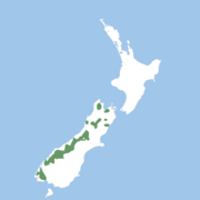 Aire de répartition sur l'île du Sud en vert.