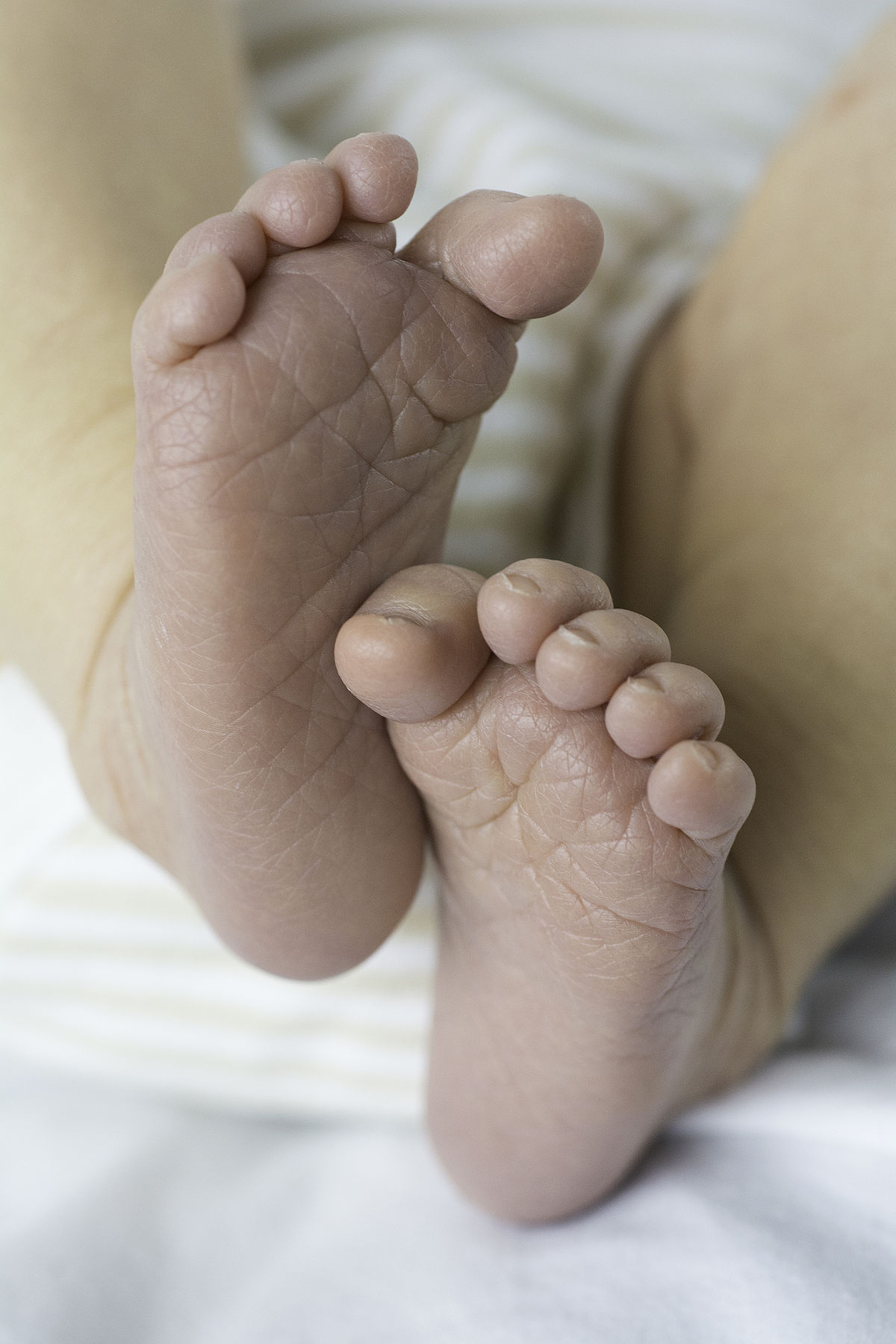 File:Newborn-Baby-Feet.jpg - Wikipedia