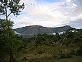 Nilgiri foothills.jpg