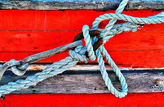 Boat knot