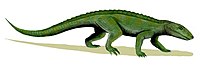 An artist's reconstruction of Notosuchus terristris. Notosuchus BW.jpg