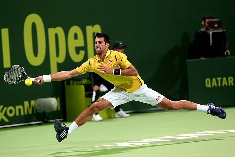 File:Novak Djokovic, Qatar Open 2016.jpg