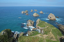 Nugget Point things to do in The Catlins