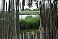 Carex BirdWatcher observation hut Oasi WWF Palude Busatello at Gazzo Veronese Italy