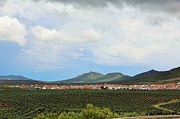 Oliva de Mérida - Vue