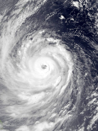 <span class="mw-page-title-main">Typhoon Orchid (1991)</span> Pacific typhoon in 1991