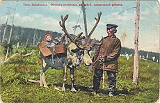 Orochen postcard.jpg