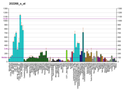 PBB GE APPBP1 202268 s bei fs.png